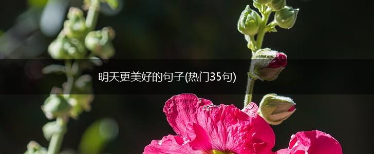 明天更美好的句子(热门35句),第1张