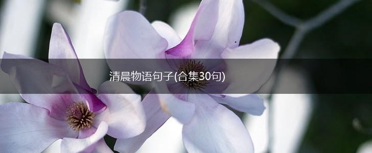 清晨物语句子(合集30句),第1张