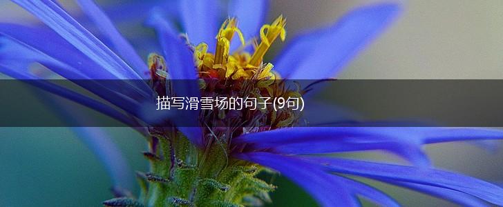 描写滑雪场的句子(9句),第1张