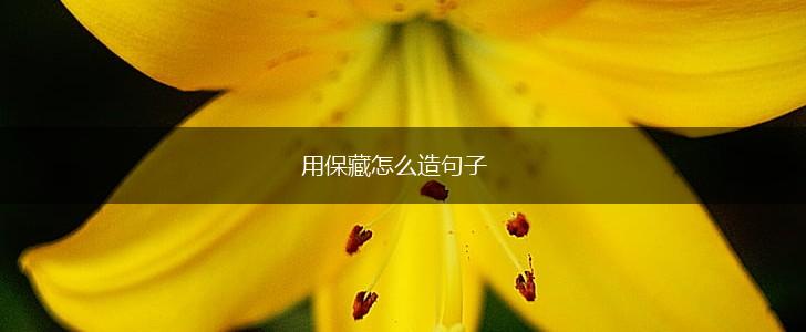 用保藏怎么造句子,第1张 用保藏怎么造句子,第1张