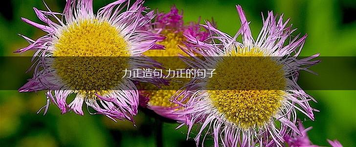 力正造句,力正的句子,第1张