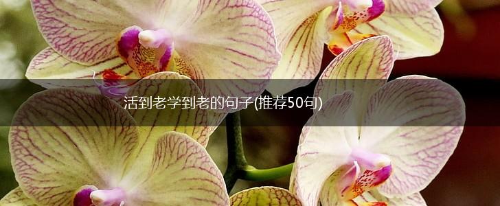 活到老学到老的句子(推荐50句),第1张