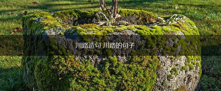 川路造句 川路的句子,第1张 川路造句 川路的句子,第1张