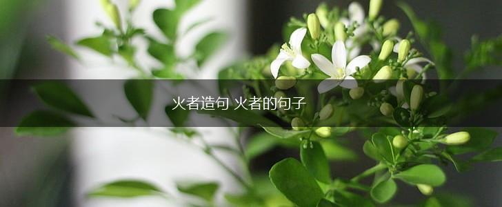 火者造句 火者的句子,第1张