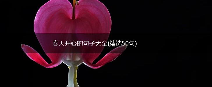 春天开心的句子大全(精选50句),第1张