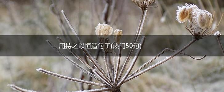 用持之以恒造句子(热门50句),第1张