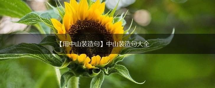 【用中山装造句】中山装造句大全,第1张 【用中山装造句】中山装造句大全,第1张
