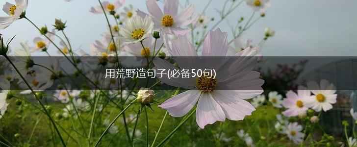 用荒野造句子(必备50句),第1张