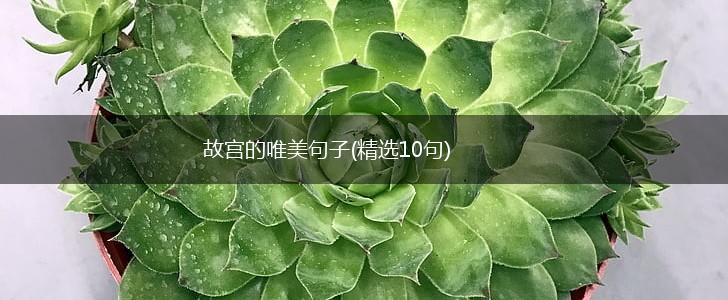 故宫的唯美句子(精选10句),第1张