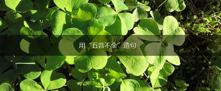用“五音不全”造句,第1张