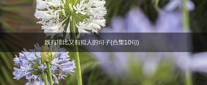 既有排比又有拟人的句子(合集10句),第1张