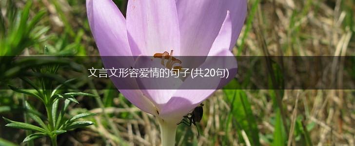 文言文形容爱情的句子(共20句),第1张