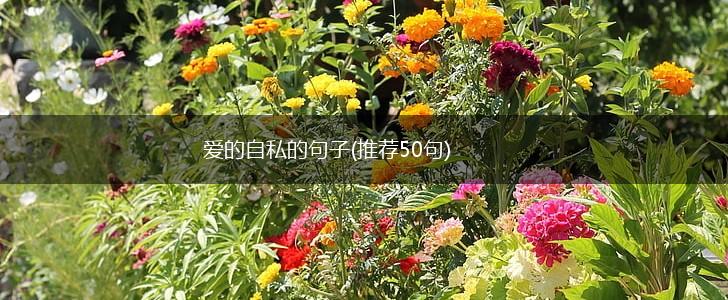 爱的自私的句子(推荐50句),第1张