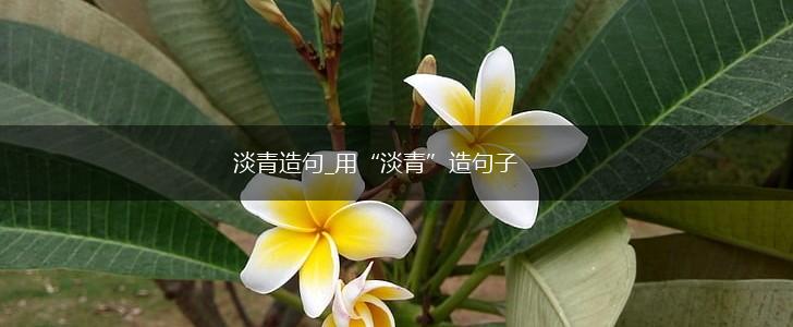 淡青造句_用“淡青”造句子,第1张 淡青造句_用“淡青”造句子,第1张