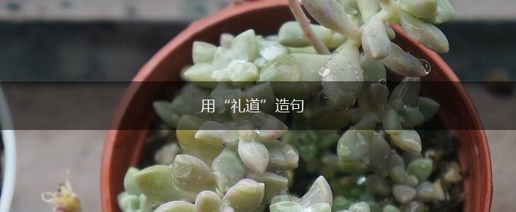 用“礼道”造句,第1张 用“礼道”造句,第1张