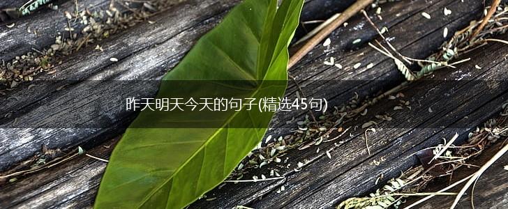 昨天明天今天的句子(精选45句),第1张