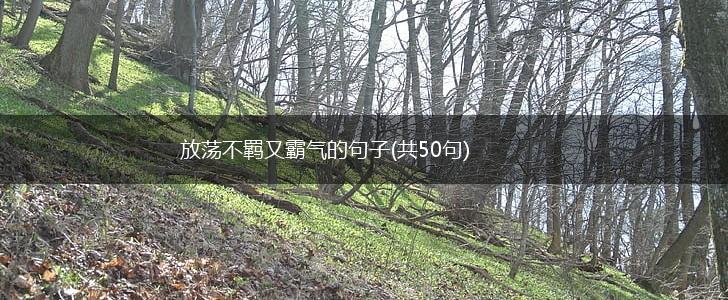 放荡不羁又霸气的句子(共50句),第1张