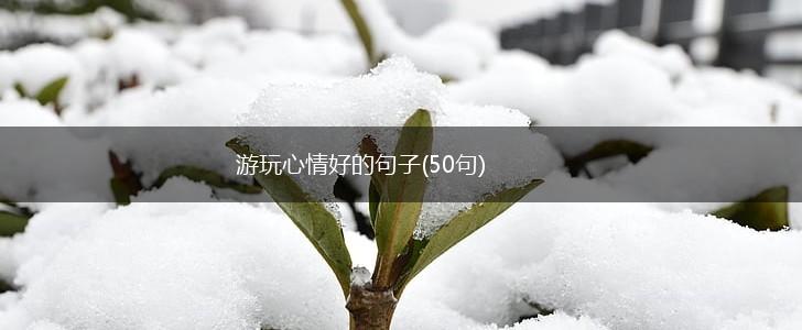 游玩心情好的句子(50句),第1张
