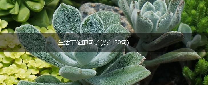 生活节俭的句子(热门20句),第1张