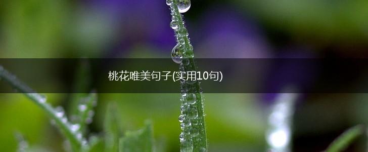 桃花唯美句子(实用10句),第1张
