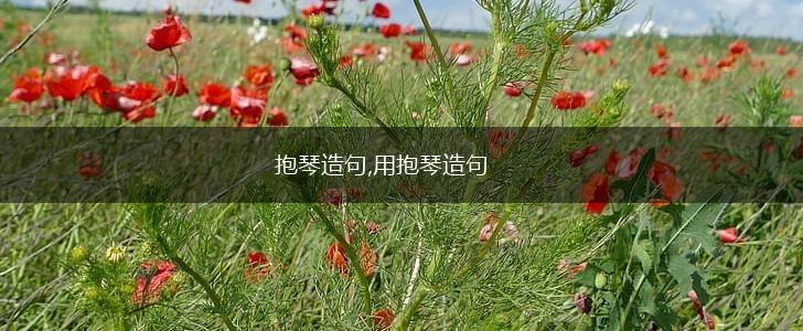 抱琴造句,用抱琴造句,第1张 抱琴造句,用抱琴造句,第1张