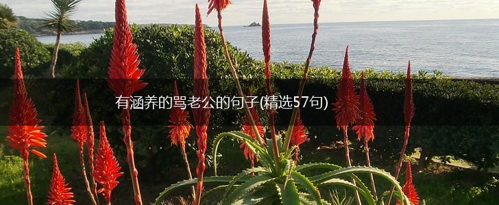 有涵养的骂老公的句子(精选57句),第1张