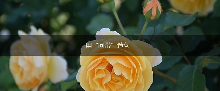 用“回带”造句,第1张 用“回带”造句,第1张