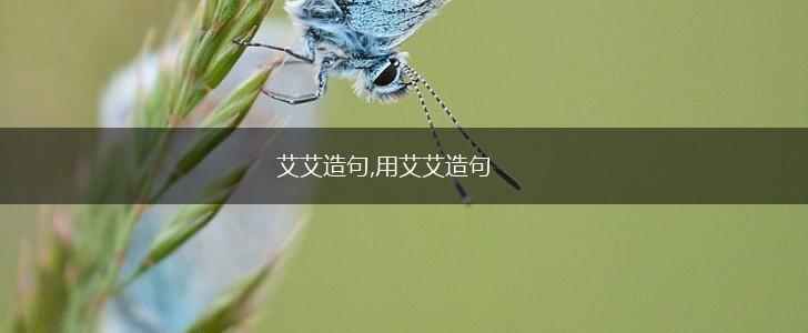 艾艾造句,用艾艾造句,第1张
