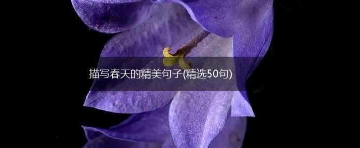 描写春天的精美句子(精选50句),第1张