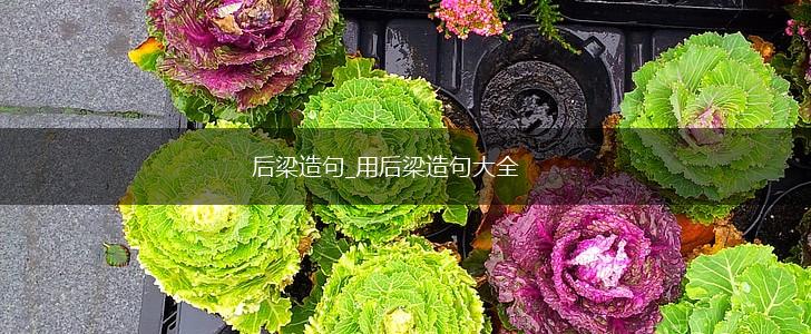 后梁造句_用后梁造句大全,第1张 后梁造句_用后梁造句大全,第1张