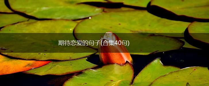 期待恋爱的句子(合集40句),第1张