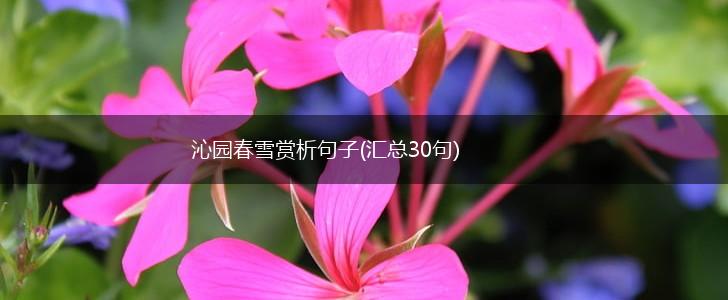 沁园春雪赏析句子(汇总30句),第1张