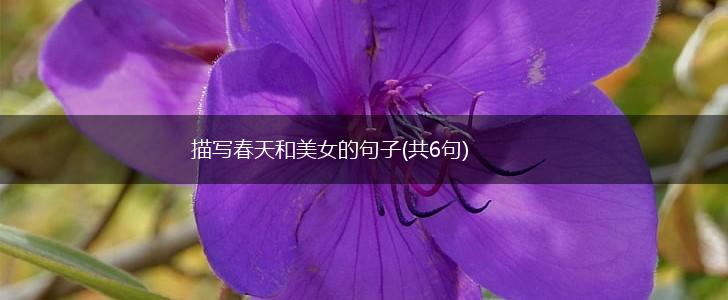 描写春天和美女的句子(共6句),第1张