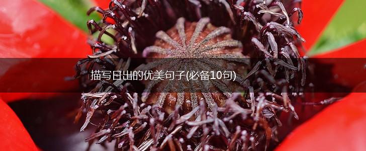 描写日出的优美句子(必备10句),第1张