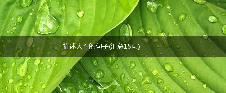 描述人性的句子(汇总15句),第1张