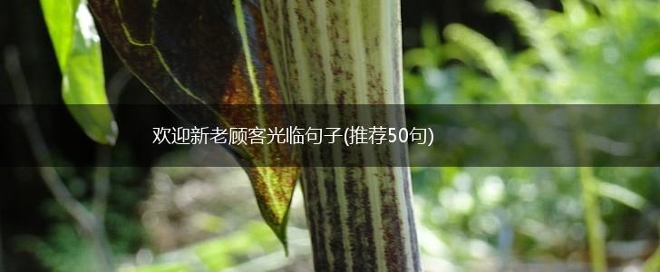 欢迎新老顾客光临句子(推荐50句),第1张