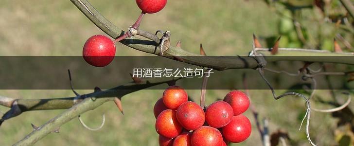 用酒香怎么造句子,第1张