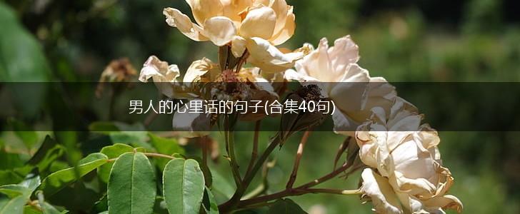 男人的心里话的句子(合集40句),第1张