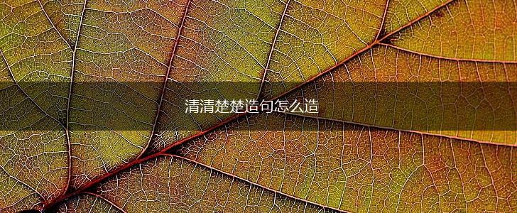 清清楚楚造句怎么造,第1张