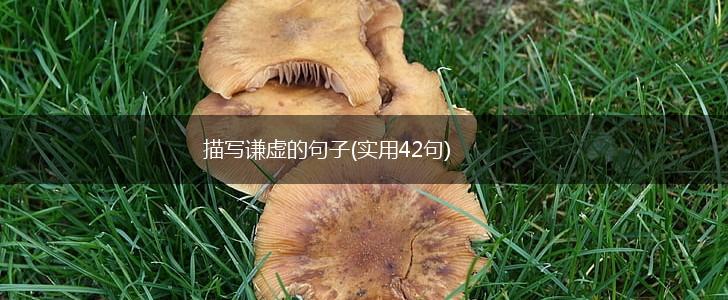 描写谦虚的句子(实用42句),第1张