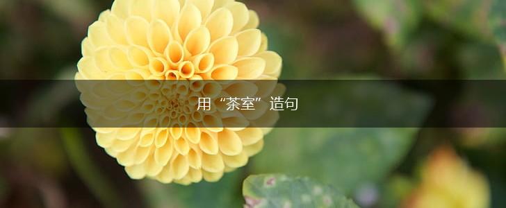 用“茶室”造句,第1张 用“茶室”造句,第1张