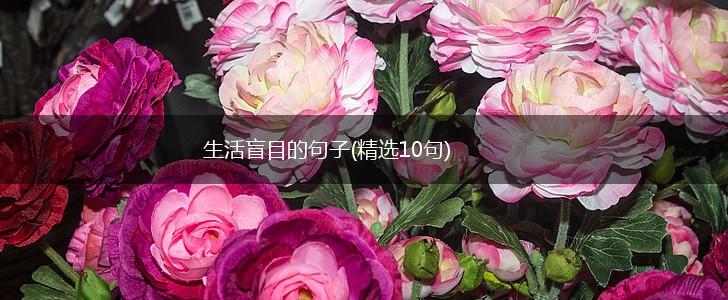 生活盲目的句子(精选10句),第1张