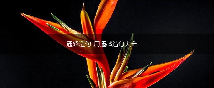 通感造句_用通感造句大全,第1张