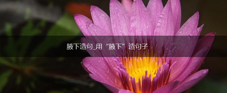 腋下造句_用“腋下”造句子,第1张 腋下造句_用“腋下”造句子,第1张