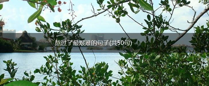 熬过了最艰难的句子(共50句),第1张