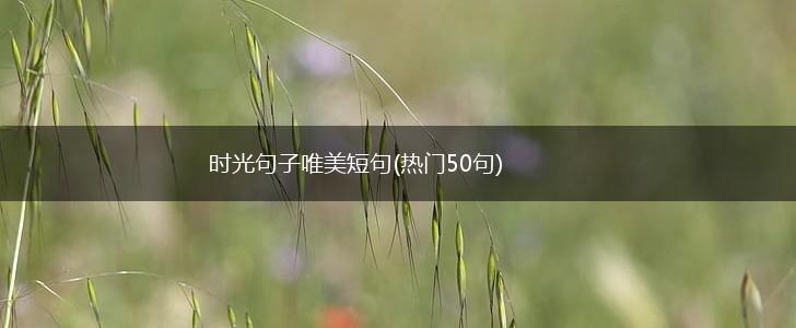 时光句子唯美短句(热门50句),第1张