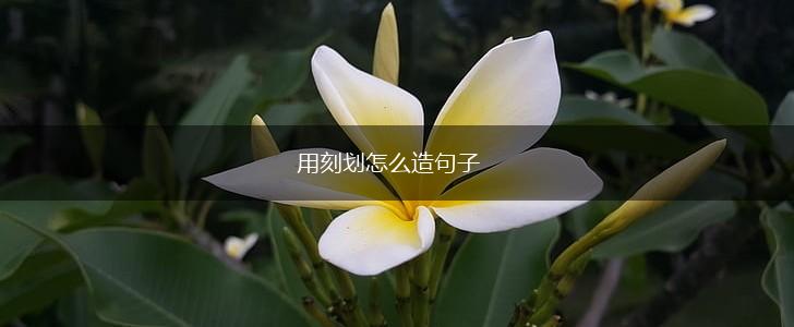 用刻划怎么造句子,第1张 用刻划怎么造句子,第1张