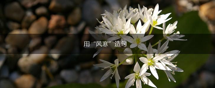 用“风寒”造句,第1张 用“风寒”造句,第1张
