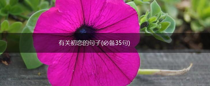 有关初恋的句子(必备35句),第1张