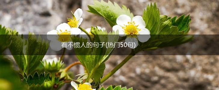 看不惯人的句子(热门50句),第1张